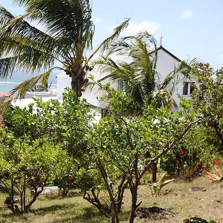 Residence Foulsafat Bambou Exterior photo